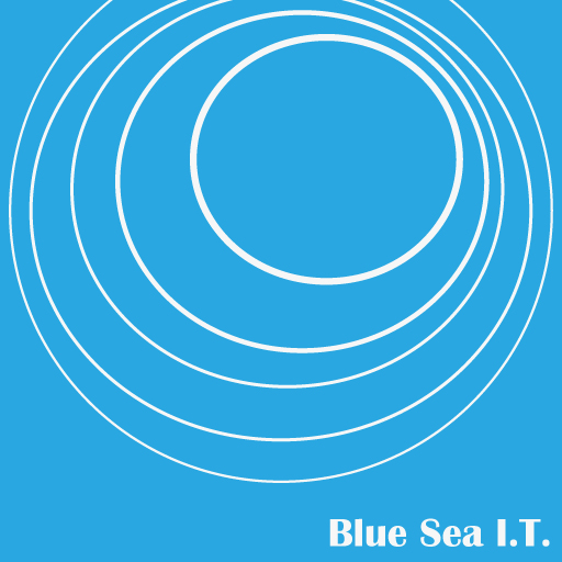 Blue Sea IT Limited